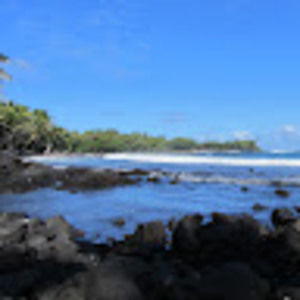 Meet your Posher, Wendy